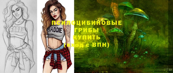 винт Покачи