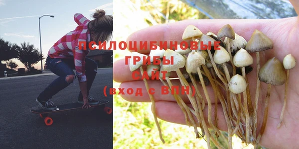 винт Покровск
