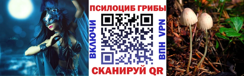 Галлюциногенные грибы Magic Shrooms  Берёзовский 